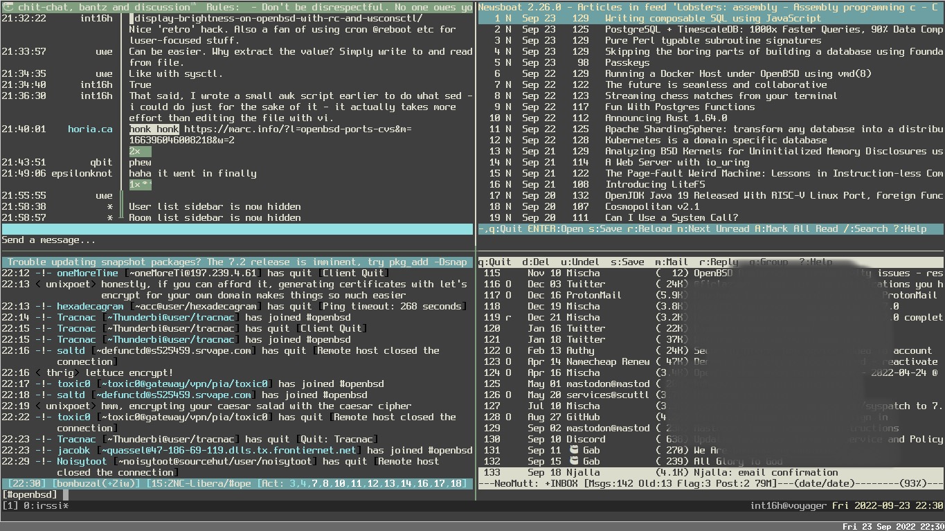 OpenBSD with cwm, tmux, newsboat, neomutt.